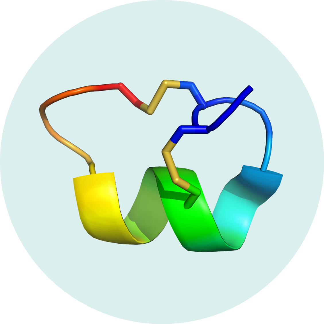 Cyclic peptide